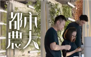 自家楼下有个小农场， 90后都市农夫：好自豪我的身份