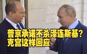 普京承诺不杀泽连斯基？克宫这样回应