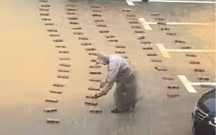 看着老爷爷在雨中放着每一块砖头都是感动