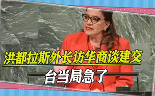 洪都拉斯外长访华商谈建交，台当局恼羞成怒，召回驻该国负责人