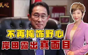 日本要一雪前耻？岸田文雄终于露出真面目，美国助纣为虐