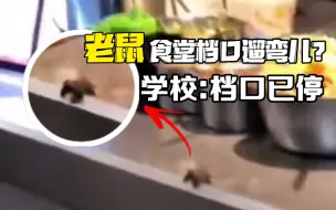 安徽芜湖某高校学生拍到老鼠在食堂档口柜台上溜达，校方回应：档口已停业整顿，请了专业公司灭鼠