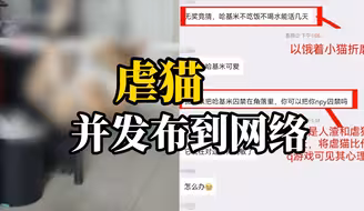 网友爆料一大学生虐猫，武汉理工大学通报：情况属实，将严肃处理