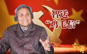 【丰碑】孙淑慧：送鸡毛信、救伤员，聂帅夸我“英雄少年”