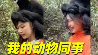 你好，我有一个“帽衫”