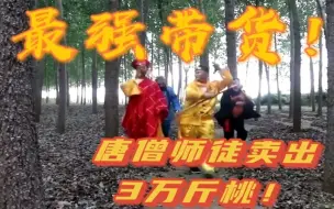 最强带货！乡镇干部扮唐僧师徒卖出3万斤桃