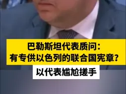 巴勒斯坦代表质问：有专供以色列的联合国宪章？以代表尴尬搓手