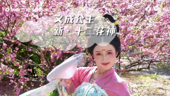 新十二花神文成公主亮相