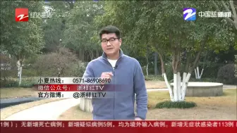 部分硅藻泥净化性能不达标！  杭州市场监管部门公布三类产品质量比对结果