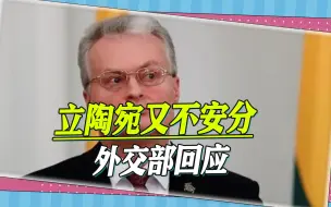 东欧小国又不安分，立陶宛议员团窜台，外交部的回应凸显大国风范