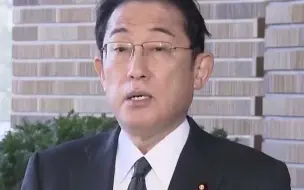 危险！日媒：自民党提议将专守防卫改名积极防卫