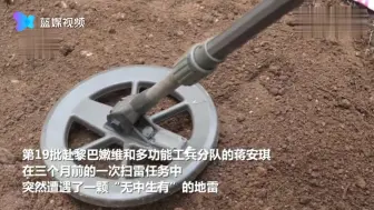 赴黎维和女扫雷手平均不到23岁