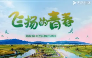 飞扬的青春