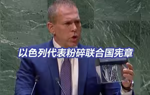 联大会议现场，以色列代表粉碎联合国宪章