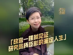 故宫一棵树 见证研究员杨臣彬的鉴定人生