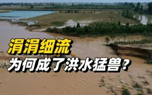 答案在这里：“涓涓细流”洛河为何成了“洪水猛兽”？