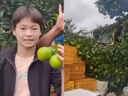 满地狼藉！全红婵爸爸晒出家中果园受台风“摩羯”影响画面