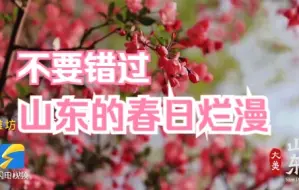 大美山东｜花开烂漫春意浓 山东各地披上“春日盛装”