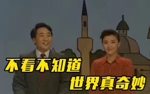 说起正大综艺，你的哪些DNA动了？