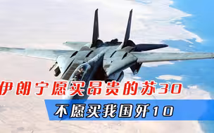 眼高手低！伊朗宁愿买昂贵的苏30，不愿买我国歼10