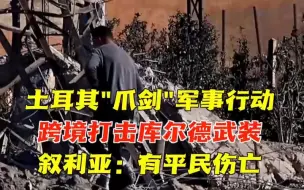 土耳其发起