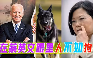 蔡英文“零时差”谄媚拜登，台湾“人不如狗”民愤滔天！