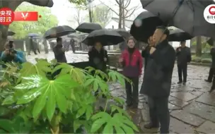 跟着总书记看中国｜不一样的西溪
