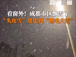 看窗外！成都市区飘雪了，“头皮雪”进化到“鹅毛大雪”