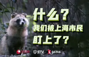 未来之城 | 什么？我们被上海市民盯上了？