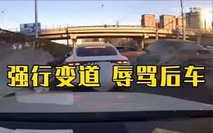 大快人心！变道受阻辱骂后车，保时捷司机被行拘