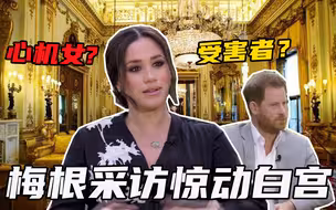 梅根采访惊动白宫！她究竟是心机女还是受害者？中美反应两极化