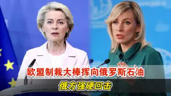 欧盟制裁大棒挥向俄罗斯石油，俄方强硬回击