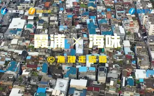 【渔港走透透】  侃哥带您感受  霞浦人民丰富多彩的五味人生