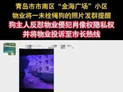 物业发未栓绳狗照片至业主群   被狗主人怒怼侵犯肖像权隐私权
