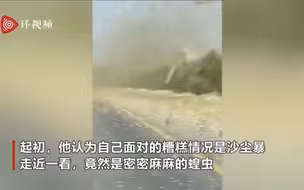 巴基斯坦男子开车穿越蝗虫群被吓傻：以为是沙尘暴