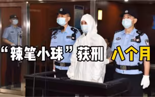 “辣笔小球”犯侵害英雄烈士名誉、荣誉罪获刑八个月