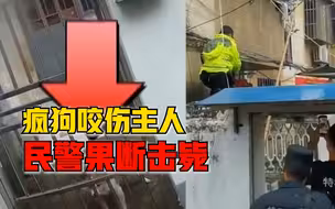 宠物狗发疯咬伤主人，警方依法现场击毙