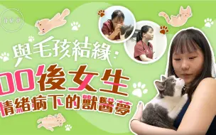 梦专访｜香港00后少女做兽医：小动物救赎了我