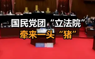 抗议开放瘦肉精美猪！国民党团今再“突袭”占领“立法院”：还牵来一头“猪”