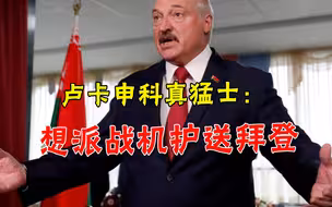 美总统要严惩白俄罗斯？卢卡申科不忍了：来明斯克，我派战机护航