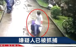 上海独居女孩被装行李箱，邻居透露嫌疑人平日性格：从不与人搭话