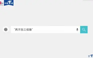 学习词典  “两不愁三保障”