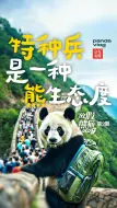 国庆假期，熊猫在路上～特种兵式旅游已被本熊拿捏！