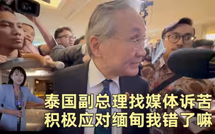 泰国副总理找媒体诉苦 积极应对缅甸我错了吗？