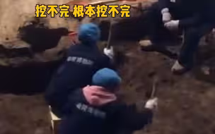 冷知识！兵马俑每天都在挖，预计挖掘工作还要持续700年。“我那迷人的老祖宗一直在造福后代”