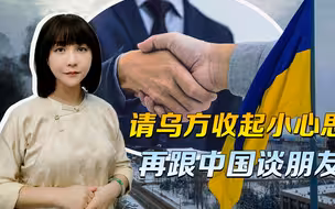 乌克兰开的价，我们不用急着回，等仗打完，我们站着一样把钱赚了