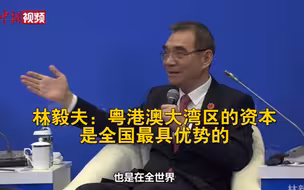 林毅夫：粤港澳大湾区的资本是全国最具优势的