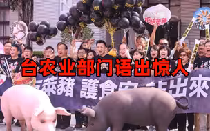 蔡英文当局竟称猪吃瘦肉精好比人吃保健品
