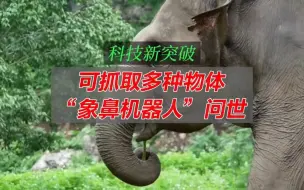 可抓取多种物体的象鼻机器人问世