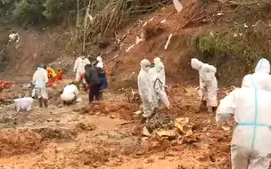已基本确定东航坠机事故主要撞击点 深度延伸到地下约20米